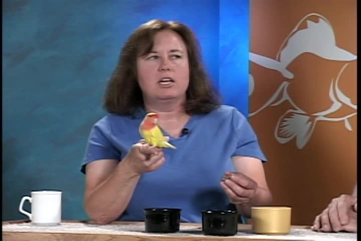 Destination Pets: Show #09