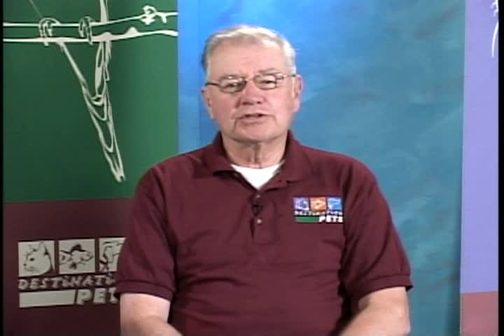 Thumbnail image for Destination Pets: Show #14