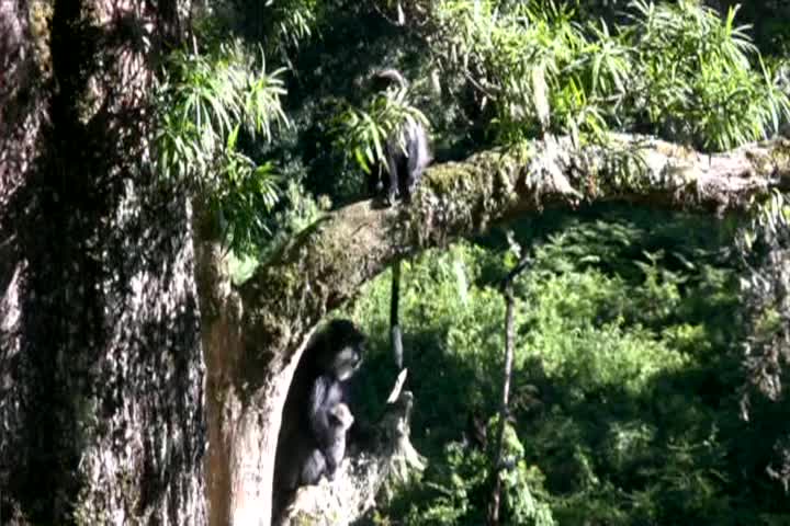 Econews: #3008 "Jacksonville, FL"