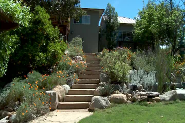 Garden Wise w/Meg West: Show #09