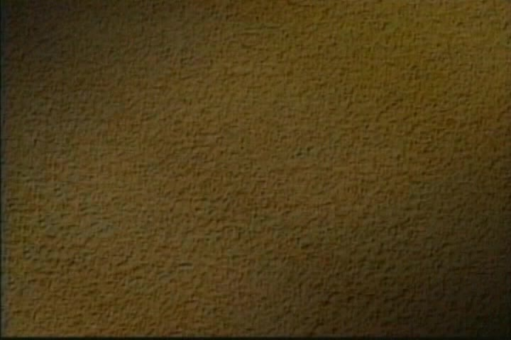 SPECIAL: "League Champions" -- Fall